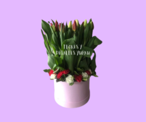 Box de tulipanes MY LADY